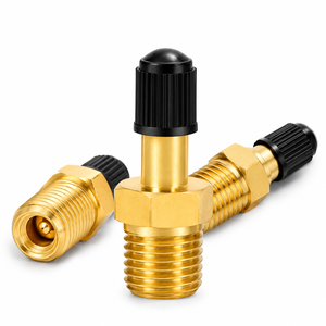 Heavy Duty Brass Schrader Tank Valve 1/4 NPT 1/8 NPT Male Thread Air Compressor Tire Inflation Replacement Fitting