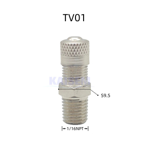 KAISHENG TV01 High Quality Nickel Plated 1/16 NPT Schrader Valve TV01 Vehicle Parts Brass Male Tank Valve Car Accessories