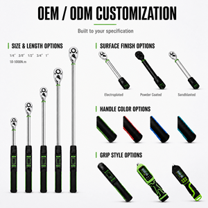 Digital Torque Wrench Set