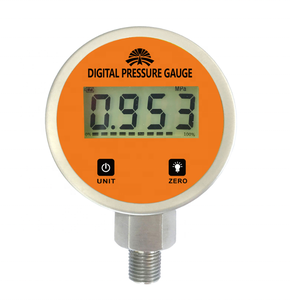 BENXU OEM Digital Hydraulic Pressure Gauge